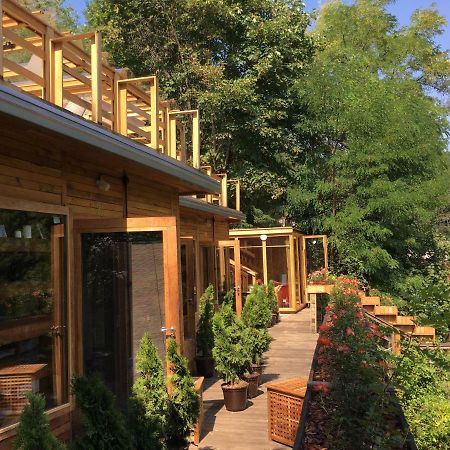 Skay Loft Bed and Breakfast Μπρασόβ Εξωτερικό φωτογραφία