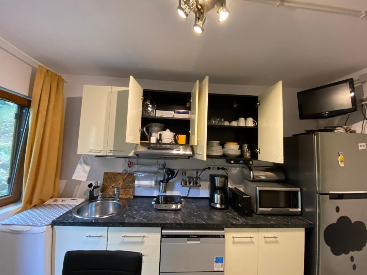 Skay Loft Bed and Breakfast Μπρασόβ Εξωτερικό φωτογραφία